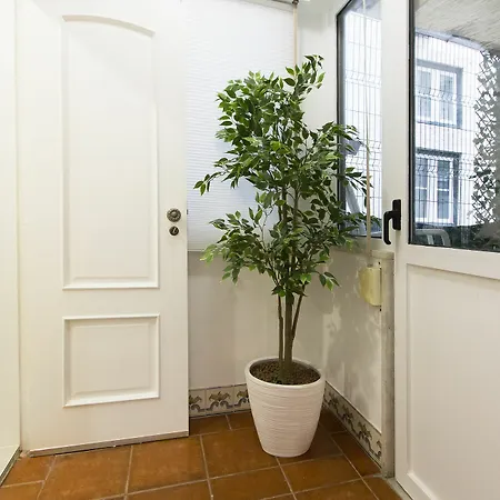 Downtown Classic By Homing *