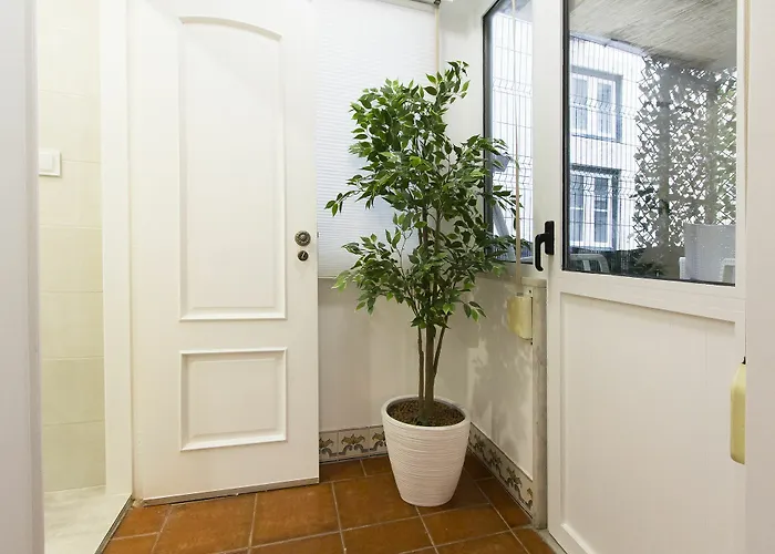 Downtown Classic By Homing *